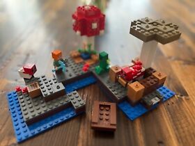 LEGO Minecraft The Mushroom Island 2017 Set 21129 Complete with Instructions