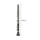 Miniature Clarinet Model Toy With Stand And Case Clarinet Model Display DOB