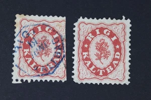 SWISS HOTEL LOCAL POST RIGI KALTBAD STAMPS SOTN SET OF 2 SON CANCEL - Picture 1 of 2