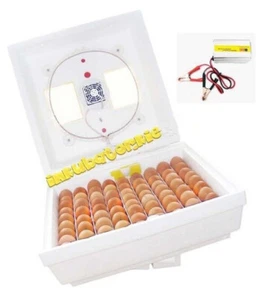 Incubadora digital Kvochka MI-30-1-E-12 para 70 huevos de gallina con vuelco corporal - Imagen 1 de 6