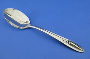 Cuchara para servir rosas provinciales Sears Roebuck tradición acero inoxidable vintage 1971 - Imagen 1 de 3