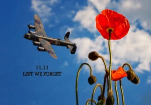 Avro Lancaster sobre una amapola, para que no nos olvidemos, impresiones en lienzo varios tamaños - Imagen 1 de 2