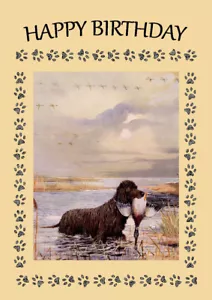 More details for irish water spaniel dog birthday greetings note card 