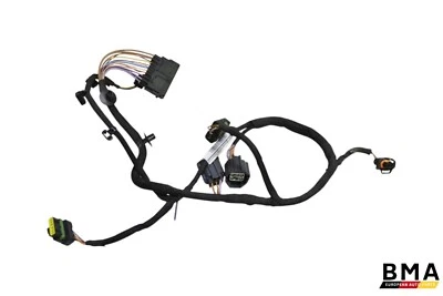 Unidad de montaje de arnés de cableado tanque bomba de combustible McLaren 650S MP4-12C 2012-2017 FABRICANTE DE EQUIPOS ORIGINALES Foto 1 de 4