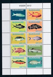 [SU1901] Suriname Surinam 2012 Fish Miniature Sheet MNH