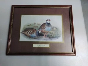 JOHN GOULD - "RED LEGGED PARTRIDGE PRINT LITHO 1804-1881. FARBIG SELTEN - Bild 1 von 6