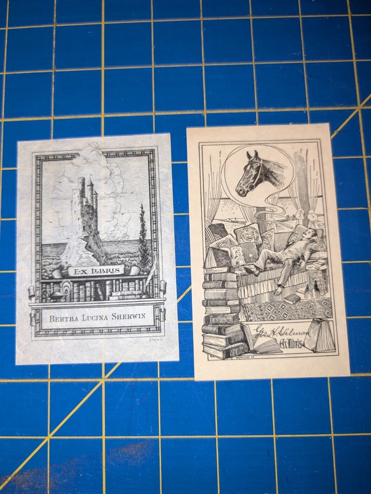  Ex libris Bertha Sherwin By allen sherwin (Artist) bookplate Foto 1 de 1