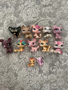 littlest pet shop sammlung - Bild 1 von 1