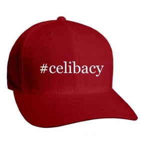 #celibacy - Adult Hashtag Baseball Cap Hat NEW RARE - Picture 1 of 10