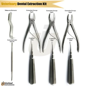 Elevadores dentales luxantes fórceps de extracción dental cirugía oral veterinaria - Imagen 1 de 9