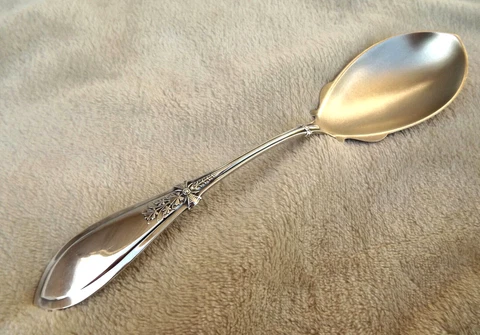 Italian by Whiting 9" Sterling serving spoon no mono matte finish bowl Nice Cover