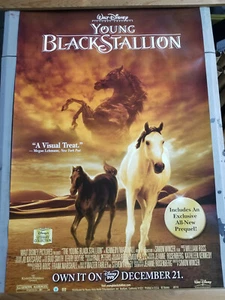 Young Black Stallion Rolled Movie DVD Poster 27" x 40" Original - Picture 1 of 1