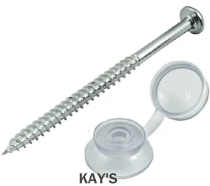 CORRUGATED SHEET FIXINGS 3" (75mm) - ROOFING SCREWS & CLEAR STRAP CAPS x 50 Pack - Picture 1 of 1
