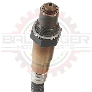 Bosch LSU 4.9 Wideband O2 Sensor (UEGO) w/ Bosch Connector (1m/39.4in length) - Afbeelding 1 van 3