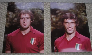 PULICI GRAZIANI FOTO CON AUTOGRAFI ORIGINALI MAGLIA TORO TORINO SCUDETTO CALCIO - Picture 1 of 2