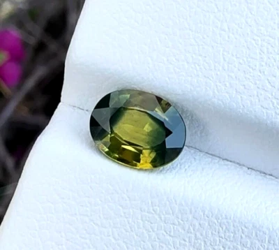 Многоцветный редкий сапфир Parti 1,65 карата | Натуральная земля добыта на Мадагаскаре - Изображение 1 из 4