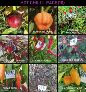 SUPER HOT 10+++, 9 chiles mas picantes del mundo,90 semillas, pack(10) - Picture 1 of 1