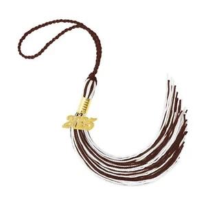 2025 Graduation Tassel2025 Graduation Cap Tassels2025 Tassel with 2025 Year G... - Picture 1 of 6