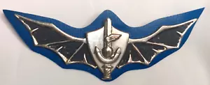 Antiguo Escuadrón Naval de las FDI 13 Combate una unidad de comando naval insignia Israel ZAHAL - Imagen 1 de 3