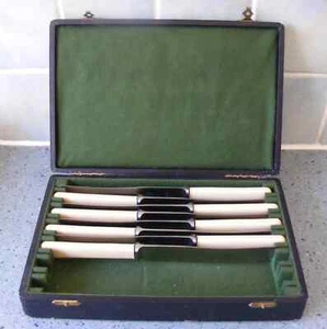 CUCHILLOS DE CENA WALKER & HALL 8 VINTAGE DE ACERO INOXIDABLE CON ASAS DE HUESO SINTÉTICO EN CAJA - Imagen 1 de 5