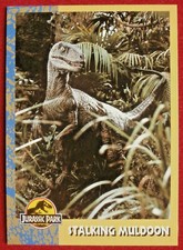 JURASSIC PARK - Card #54 - Stalking Muldoon - TOPPS 1993