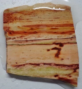WRG-Owyhee Imagen Losa de Jaspe 38 gramos Oregon Ágata Riolita Stock Antiguo - Imagen 1 de 4