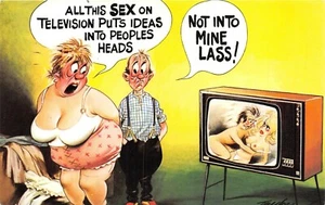 POSTKARTE BAMFORTH COMIC Serie Nr. 213 FAT LADY FERNSEHEN SEX - Bild 1 von 1