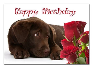 297 Brown Labrador Chocolate lab dog Mum Dad Grandma friend Daughter nanny - Picture 1 of 2
