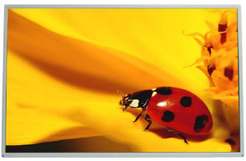 #E1 New 10.2" Screen, Grade A, CLAA102NA1BCN for Asus EeePC S101 S101H S191H   - Image 1 of 2