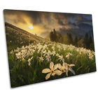 White Carpet of Flowers Spring Mountains CANVAS WALL ART Print Picture