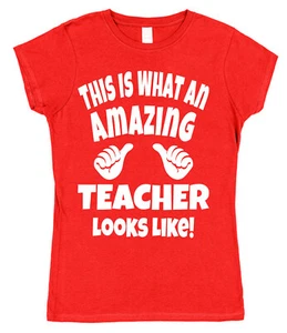 Amazing Teacher T-Shirt Gift for Teacher Present Idea Teacher Christmas Gift - Picture 1 of 10