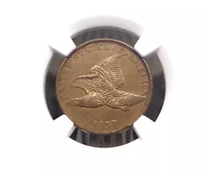 1857 Flying Eagle Cent 1c NGC AU55 #011 About Uncirculated ECC&C, Inc. - Picture 1 of 5