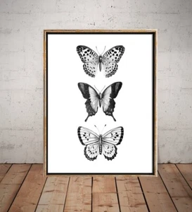 Butterfly Print, Monochrome Art Prints, black and white poster no framed - Picture 1 of 4