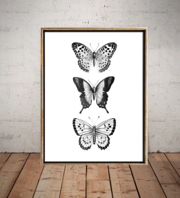 Butterfly Print, Monochrome Art Prints, black and white  poster no framed - Image 1 of 4