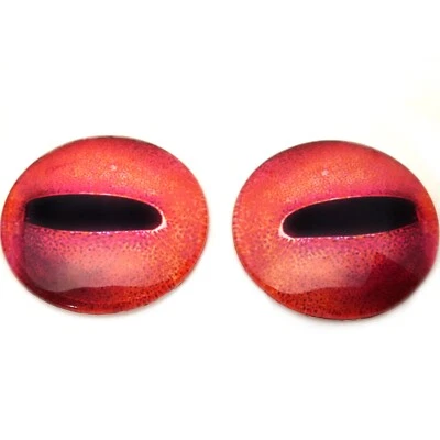 Par de Cabujones Náuticos Taxidermia Ojos de Vidrio Pulpo Rojo Joyería Muñecas Taxidermia Espalda Plana Foto 1 de 4