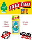 Little Trees 60106 Regenwaldnebel hängender Lufterfrischer für Auto & Zuhause 12er-Pack