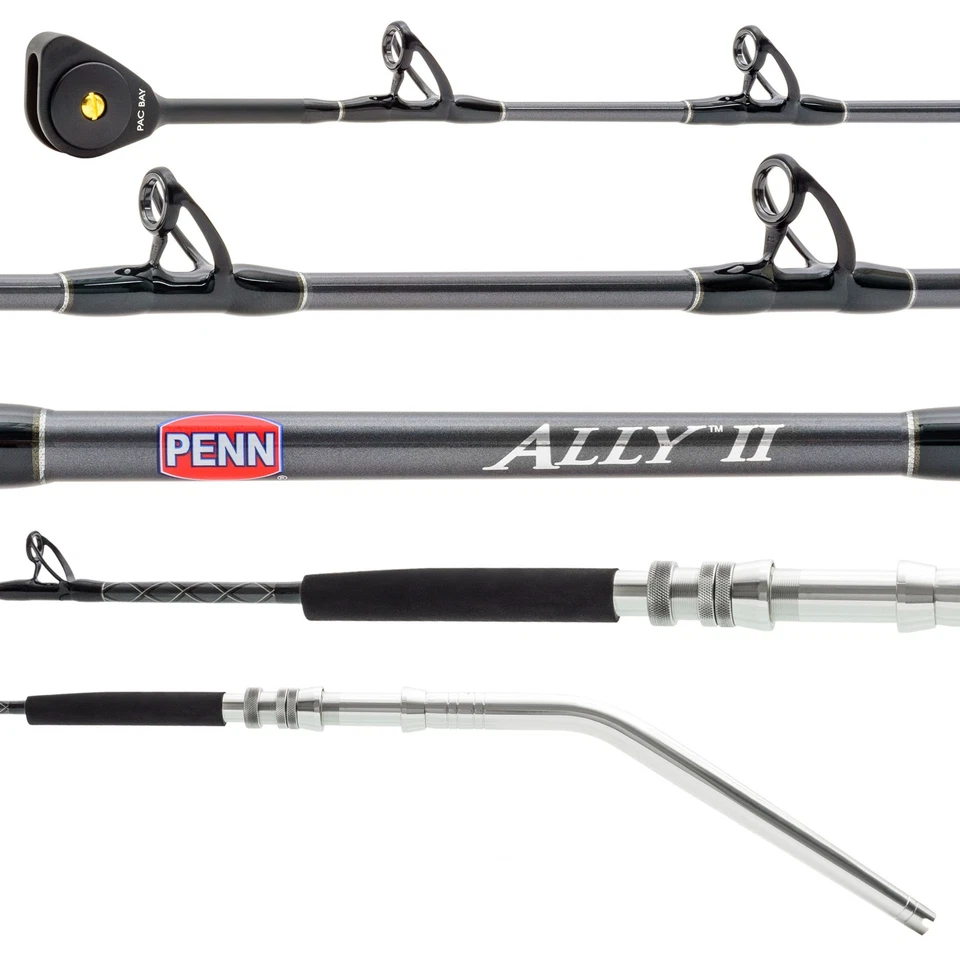 Penn Ally II ALLYBWII80250C60DD Deep Drop Boat Rod 6' 2pc