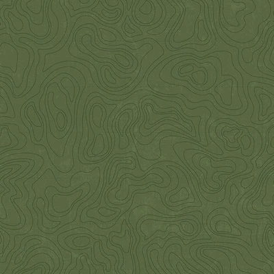 Cebollino topográfico de parques nacionales Foto 1 de 3