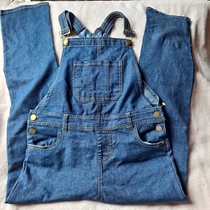 Wallflower Girl Overalls Size M 10-12 - Picture 1 of 5