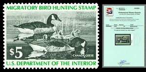 Scott RW43 1976 $5.00 Duck Stamp Mint Graded XF-Sup 95 NH with PSE CERT - Picture 1 of 1