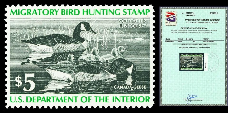 Scott RW43 1976 $5.00 Duck Stamp Mint Graded XF-Sup 95 NH with PSE CERT - Image 1 of 1