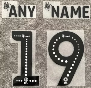 Swansea City | EFL SkyBet Championship 2018/19 - 2019/20 Shirt Name & Number Set - Picture 1 of 1