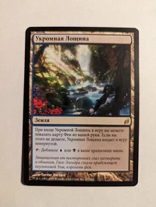 1 x Secluded Glen Lorwyn Russian NM/SP - Lorwyn Magic MTG (3 Available) x1 - Picture 1 of 1