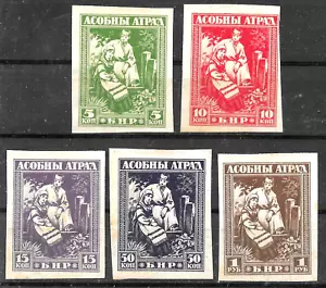 Russia Guerra Civile 1920 Repubblica Popolare Bielorussa emissione provvisoria MNG🔥VF - Foto 1 di 1