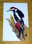 Wild Cards Lost Words & Spells Postcard- Great Spotted Woodpecker 'Tree-Wrecker'