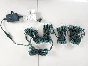 Sylvania Decorative Outdoor Multicolor LED Lights for Holiday & All Occasions - Picture 1 of 4