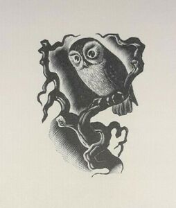 OWL : 1936 Print of a Woodcut By A. MILLER PARKER