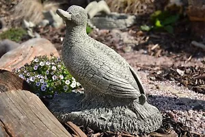 Louise the Duck Stone Garden Ornament - Picture 1 of 9