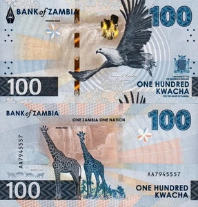 ZAMBIA - 100 kwacha 2025 (2024) FDS - UNC - Imagen 1 de 1
