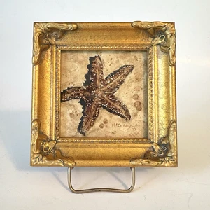 Original Miniatur Kunst "Seestern" Linda McCurdy Instant Kaffee Kunst gerahmt Strand - Bild 1 von 11